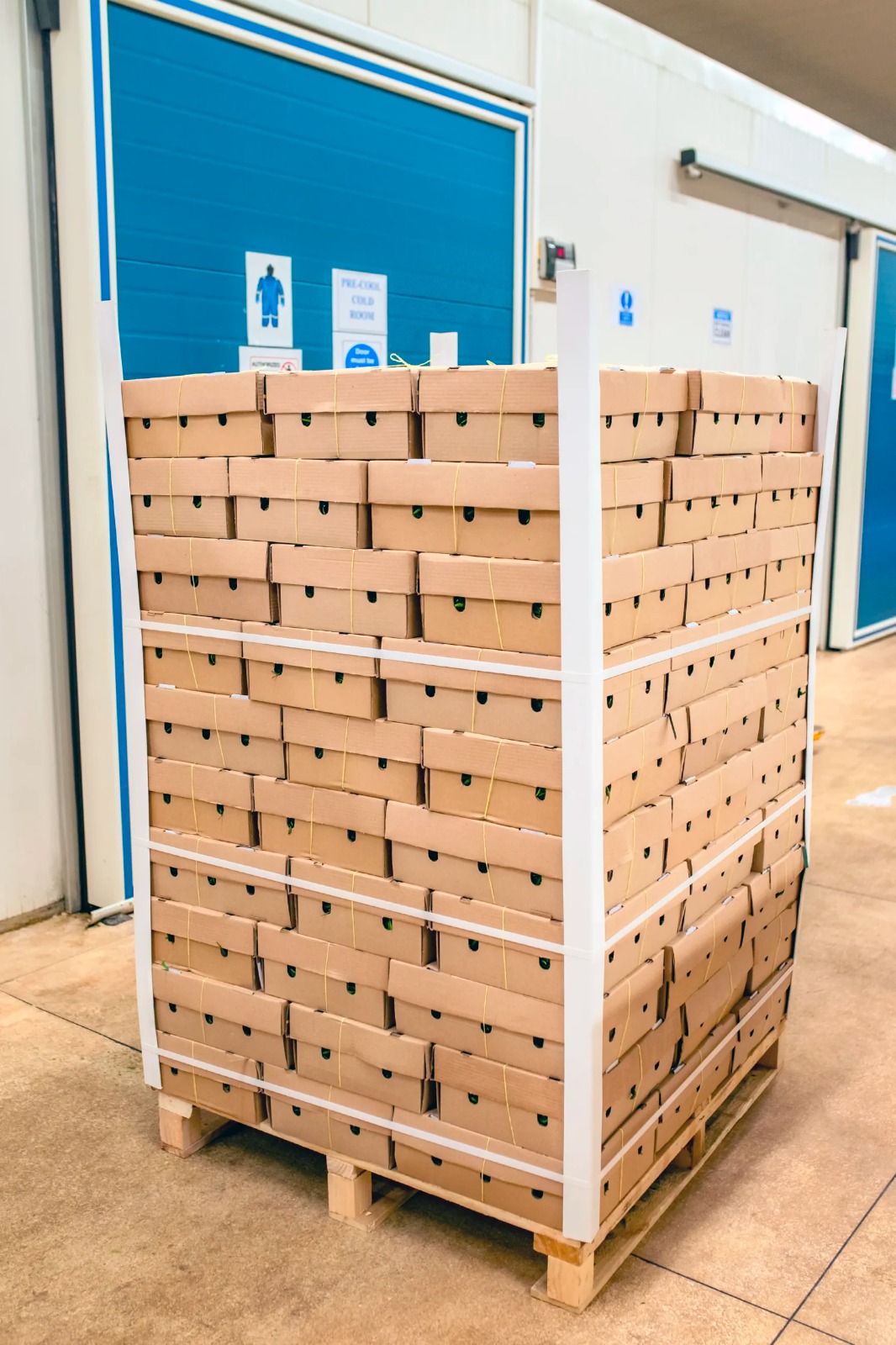Palletised, tracked produce in a controlled cold room